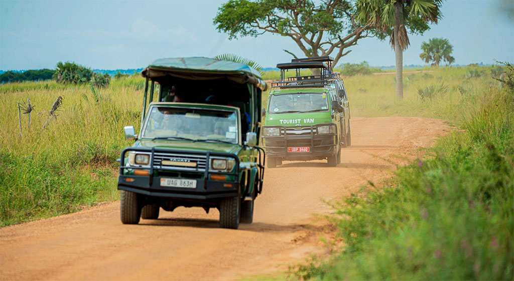 20 Top activities you can ever do in Akagera national park on Rwanda safari tour